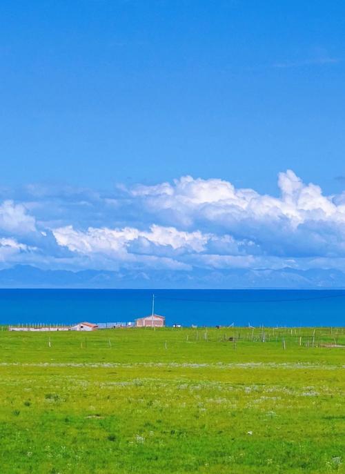 站群玩法